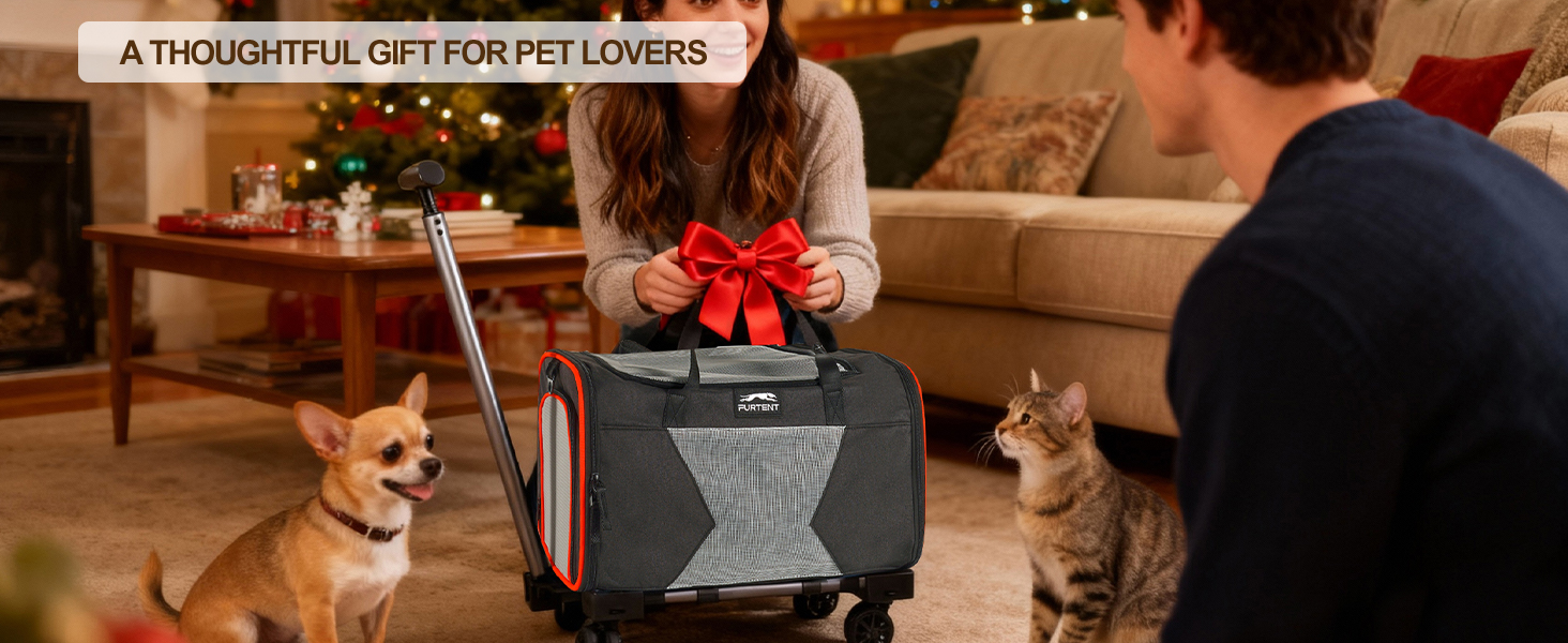pet carrier airline approved