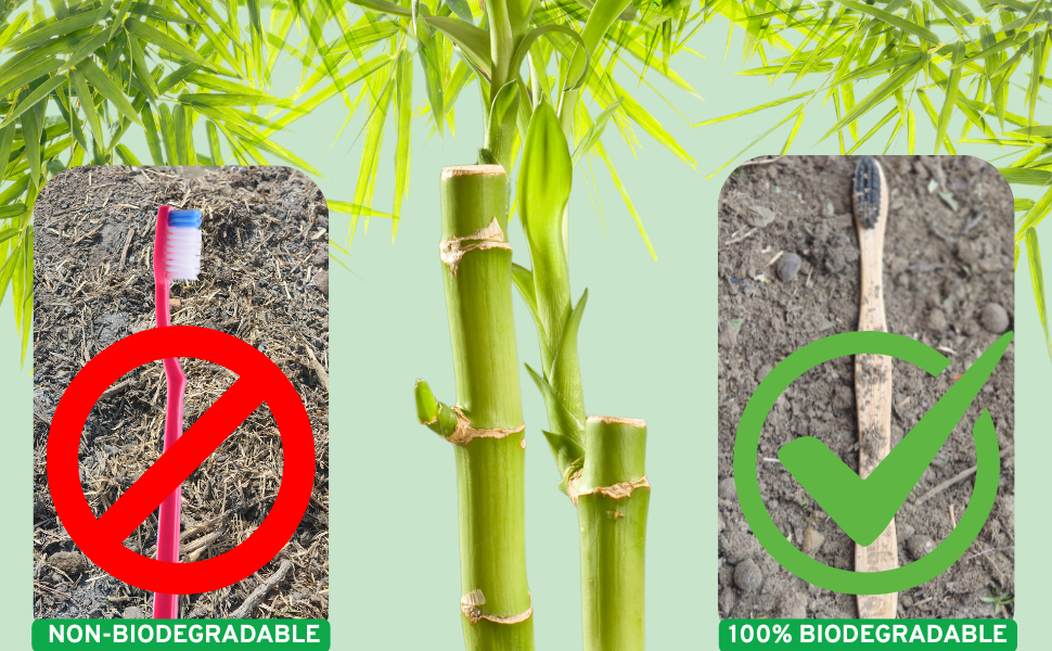 BIODEGRADABLE