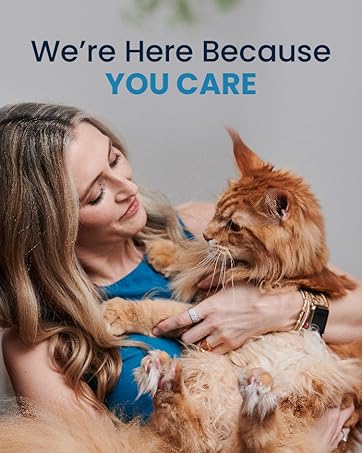 Woman holding cute cat