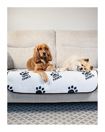 Cocker Spaniel And Pomeranian Lay On An Elite Paws Reusable Dog Mat On A Sofa