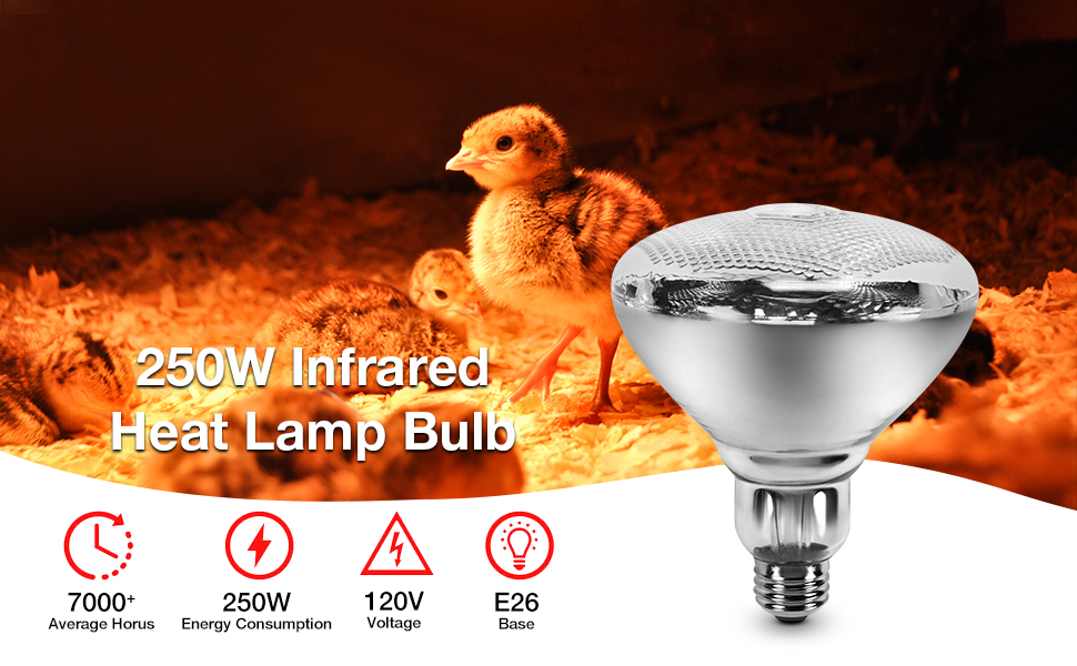 SalHawze Heat Lamp 250 Watt Glass Bulb for Food Service