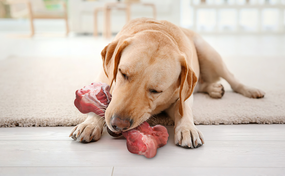 RUXAN Indestructible Dog Toy for Aggressive Chewers, Extreme Tough Dog