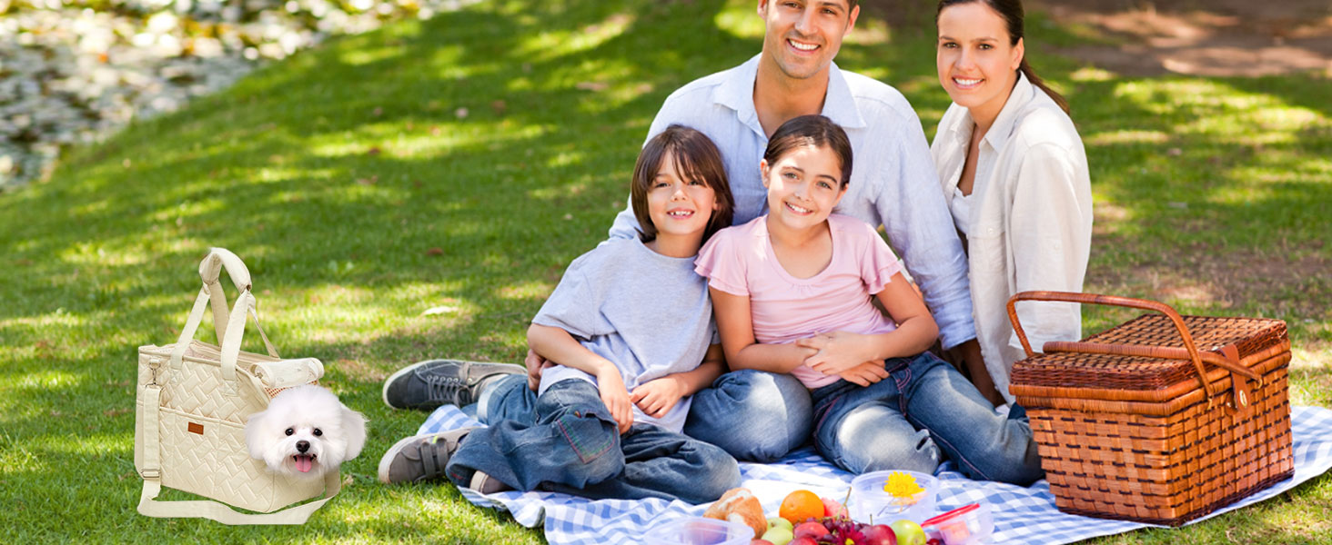 Reihe von Picknickszenen im Freien auf Gras mit Picknickkörben, Decken und Freizeitaktivitäten im Freien in sonniger Umgebung.