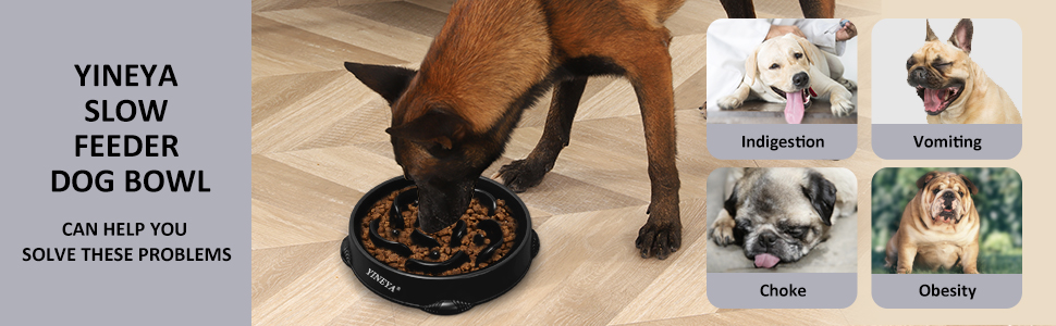 Slow Feeder Dog Bowls