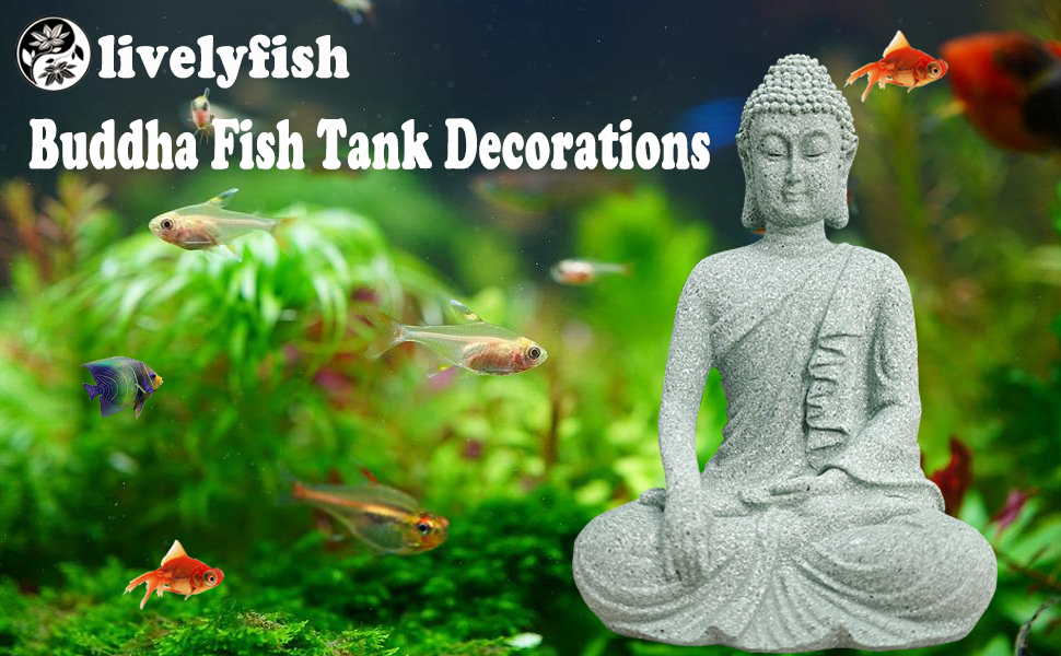 fish tank buddha