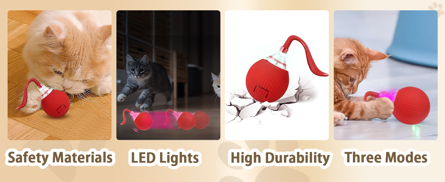 Cat Toys