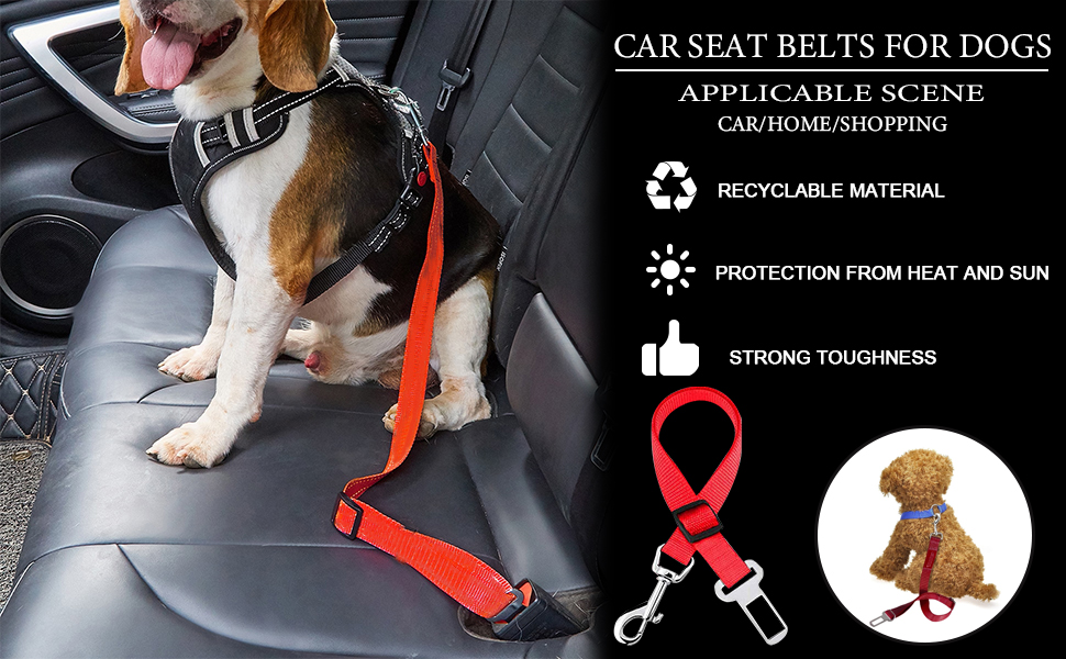 Cintura Di Sicurezza Per Cane In Auto - Guinzaglio Regolabile In Nylon - Per Cani Di Tutte Le Taglie