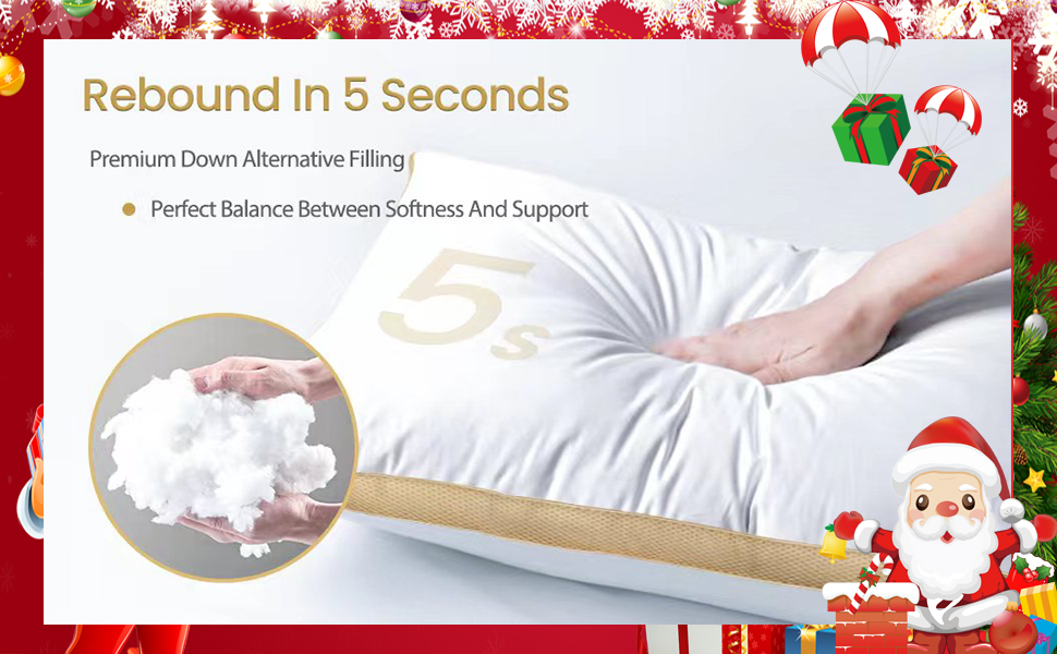 Rebound in 5 seconds