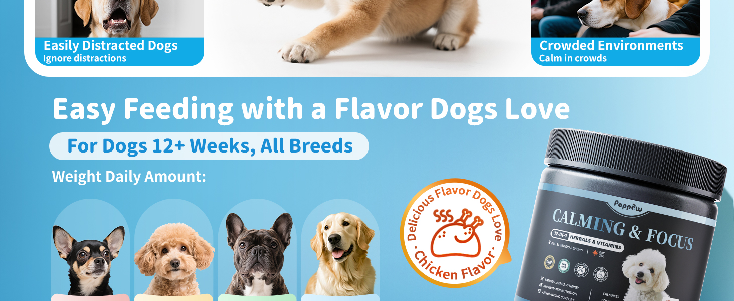 calming chews for dogs