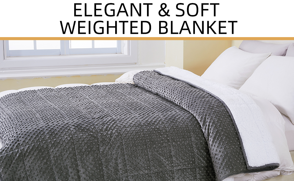 Satwip Weighted Blanket 20 lbs Queen Size Cozy Minky Dot