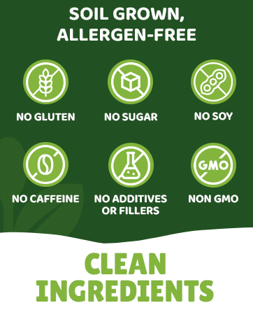 green juice powder fiber supplement plant protein fruits vegetables drink detox supergreens