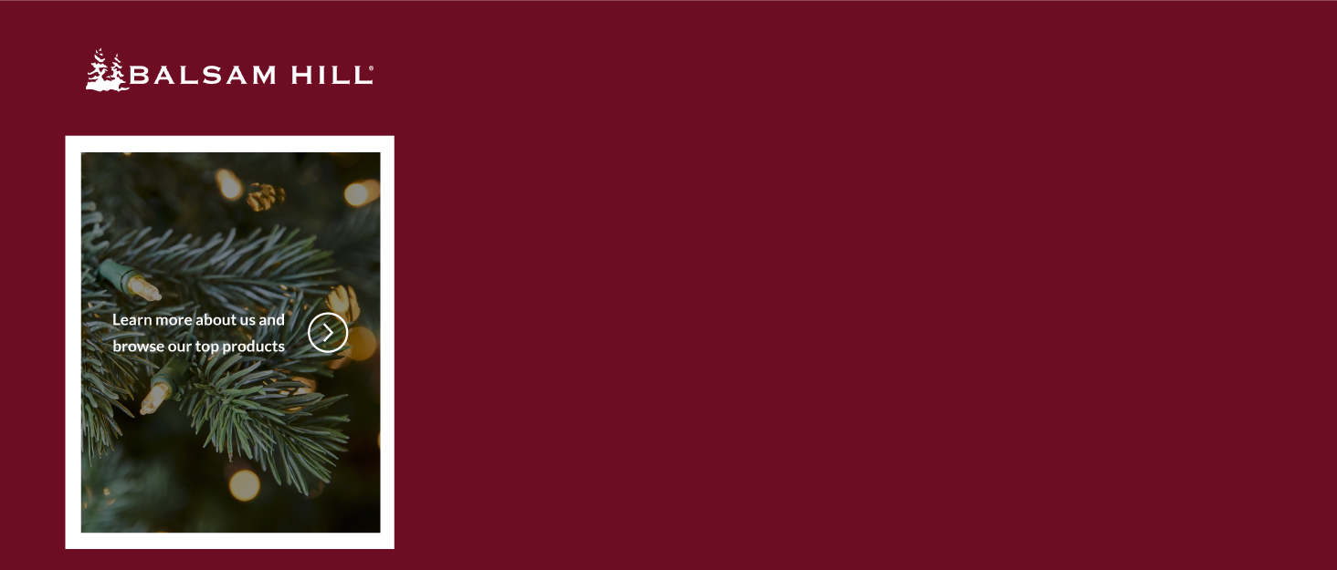 Balsam Hill BH Frosted Fraser Fir SnowCovered Artificial