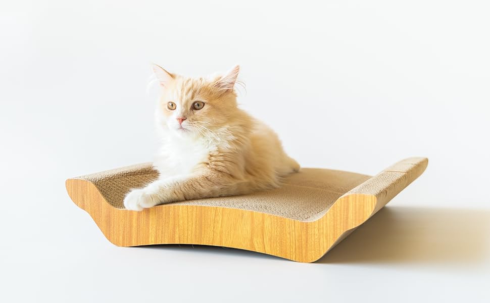 豆猫 合計14枚 Amazon | アイリスプラザ 猫の爪とぎ 20個入り またたび付き 猫