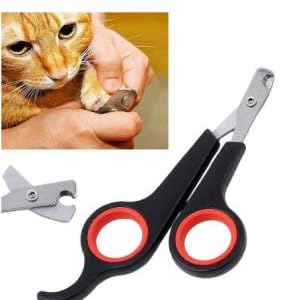 Bird Cage Essential Accessories