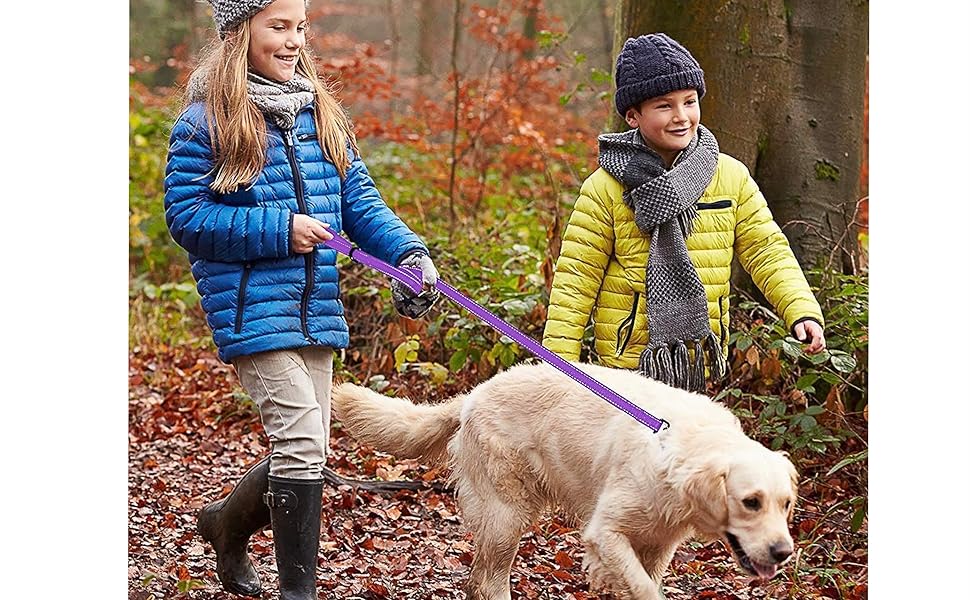 Amazon S L 犬用リード 1 5m 反射材 ダブルハンドル 中型犬 大型犬に最適 握りやすい 丈夫なナイロン製 ロングリード トレーニング リード イエロー S L リード 通販