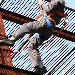 8-Quart Digital Air Fryer