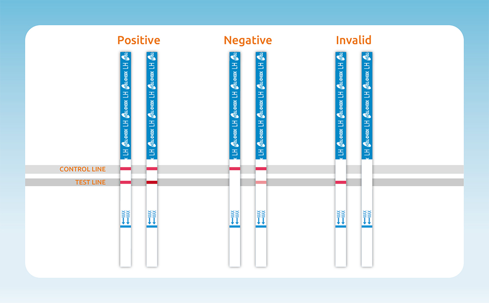 ovulation test