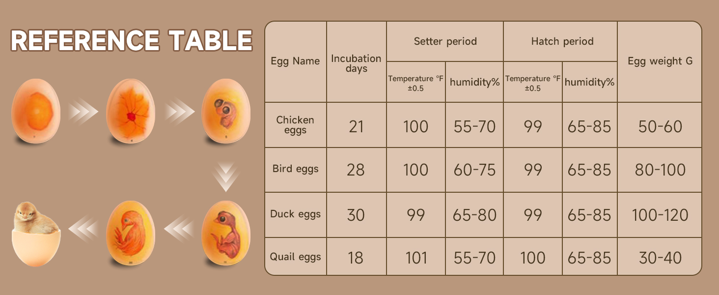 55 Egg Incubators for Hatching Eggs with LED Light, Fully