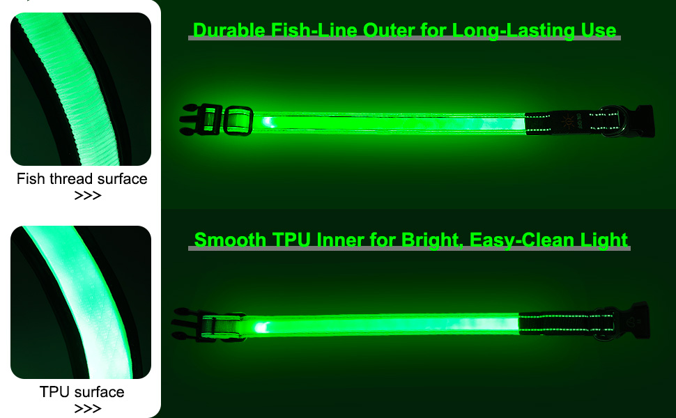 light up dog collar