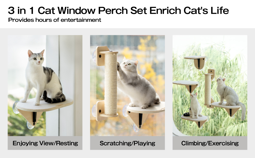 MEWOOFUN Cat Window Perch Hammock with Climbing Steps and