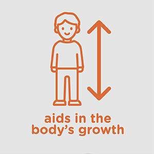 Amazon Kids calcium magnesium A+-06