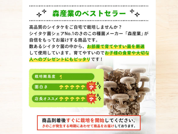 mushroom　準備中 楽天市場】【全商品ポイント10倍！楽天スーパーセール限定☆要