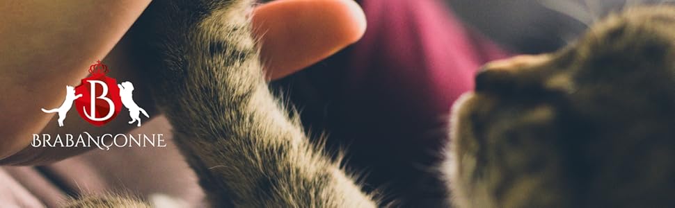 BRABANCONNE OCEAN FISH 1kg成猫用 成猫用オーシャンフィッシュ商品ページ – BRABANÇONNE