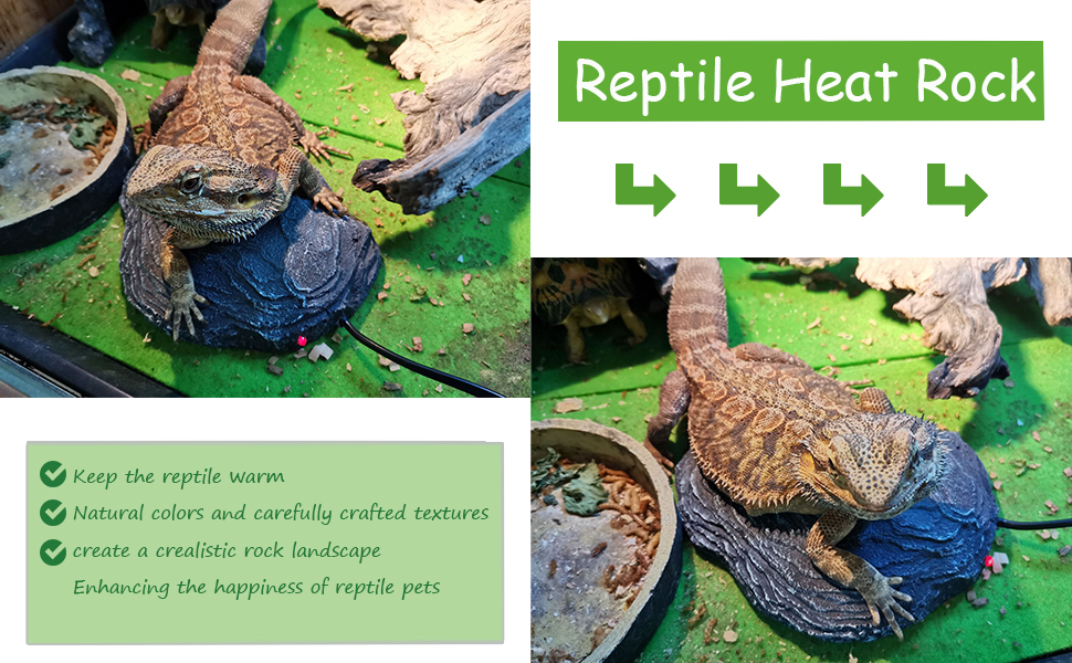 Reptile Heat Rock