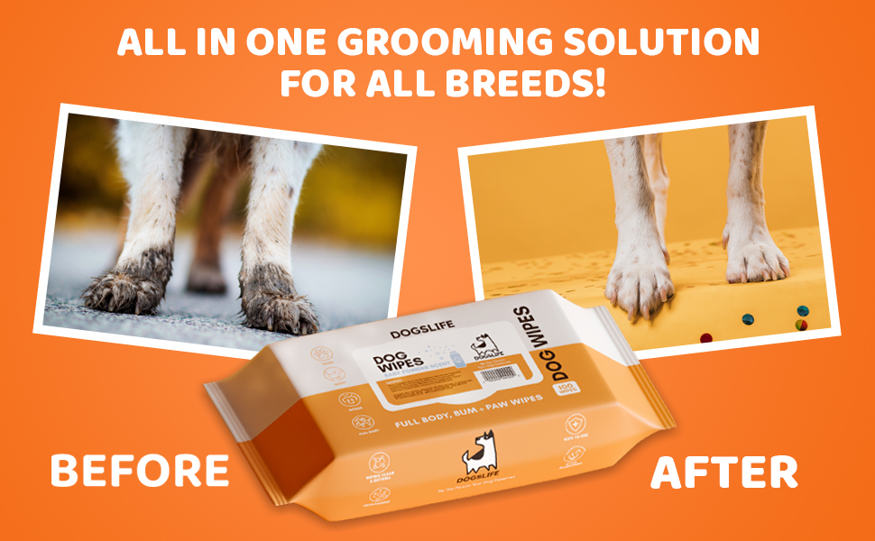 multipack of cleaning wipes for dogs earthrated scented wipe for pets all dog bum wipes ear wipes 