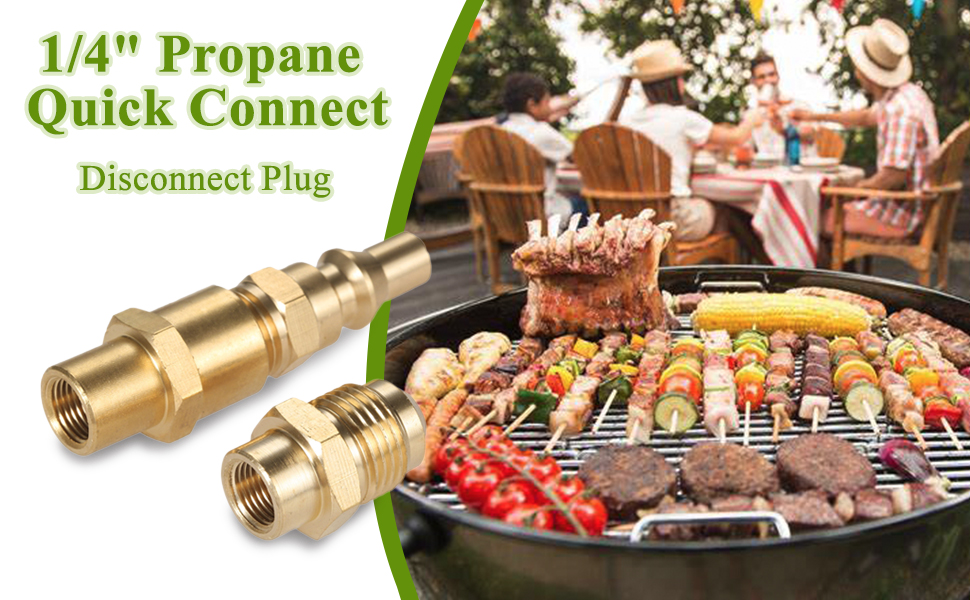 Aupoko 1/4 inch RV Quick Connect Adapter Conversion