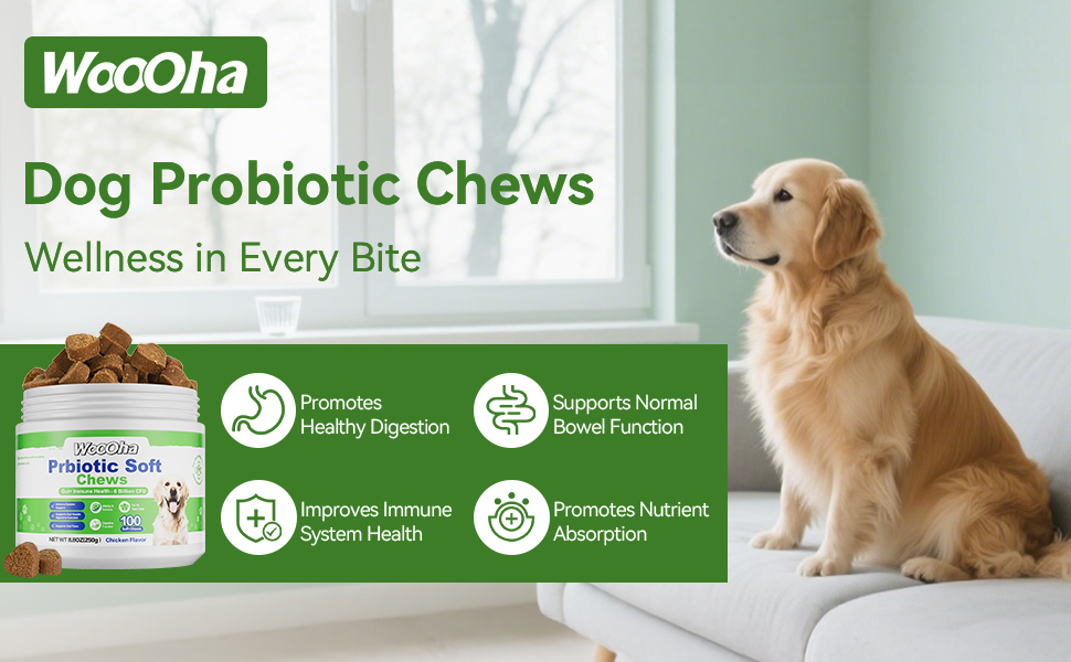 probiotics for dogs dog probiotics probiotic chew for dogs probiotic for dogs pet probiotics for dog