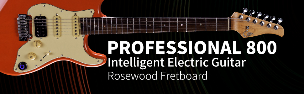 Electric guitar
