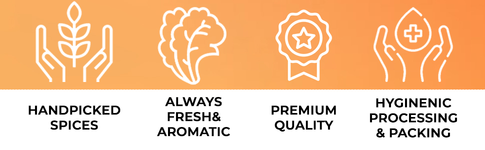 AADHYA 100g Garam Masala Powder SPN-MX9E8