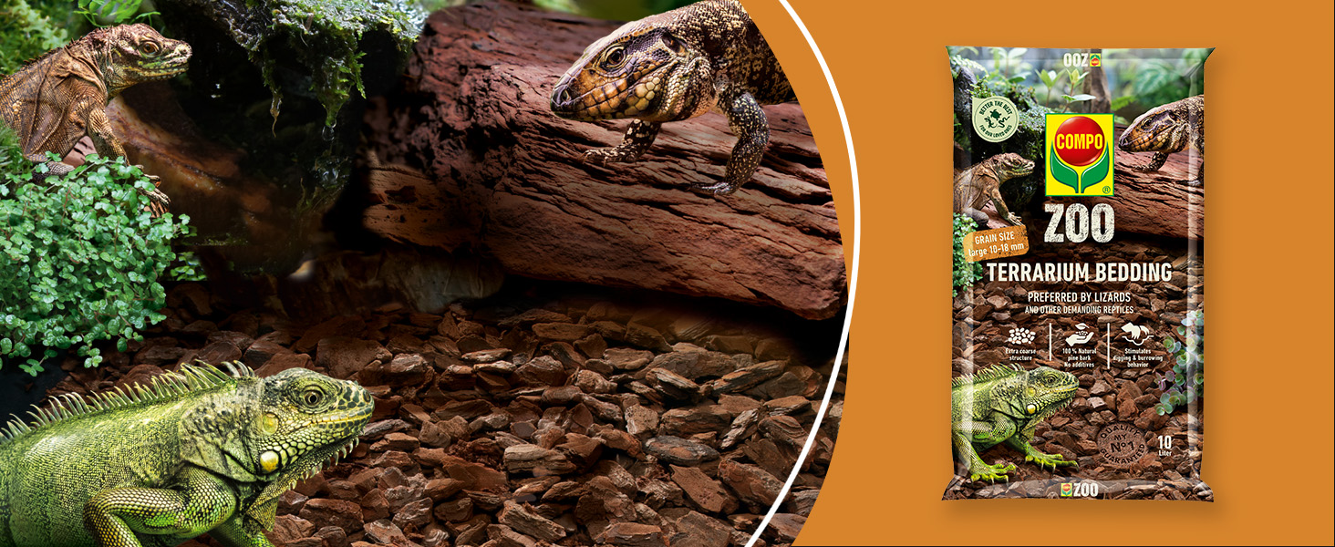 DE-AMZ-A-Plus-COMPO-ZOO-lizard-Big-1464x600-06