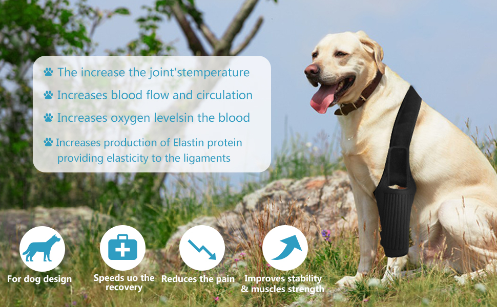 ABMOS Dog Knee Brace, Knee Brace for Dogs ACL with 10 Side