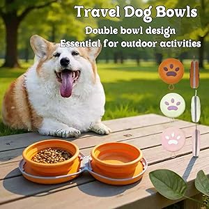 collapsible dog bowls