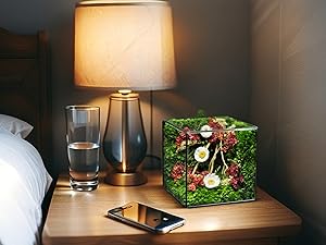 preserved flower box; preserved flowers box; preserved flowers in a box; small preserved flowers