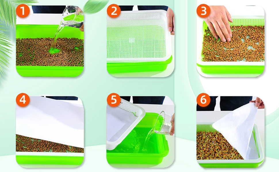 trays