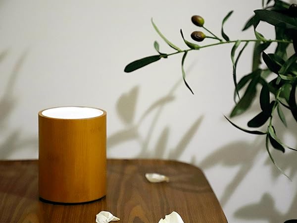 Amazon.co.jp: LOXIM アロマディフューザー 天然竹 水なし