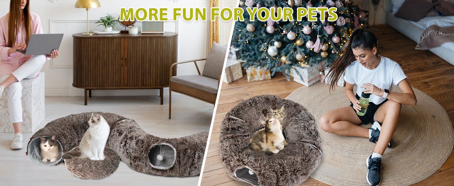 cat donut tunnel
