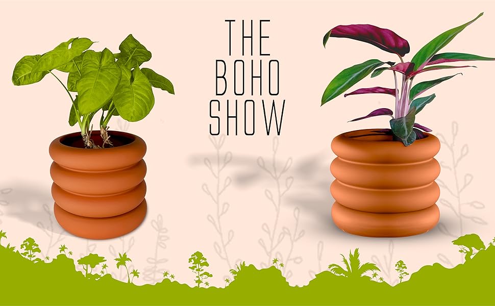 The Boho Show Logo and Double Stacking Bubble Planter with Snake Plant and Ficus