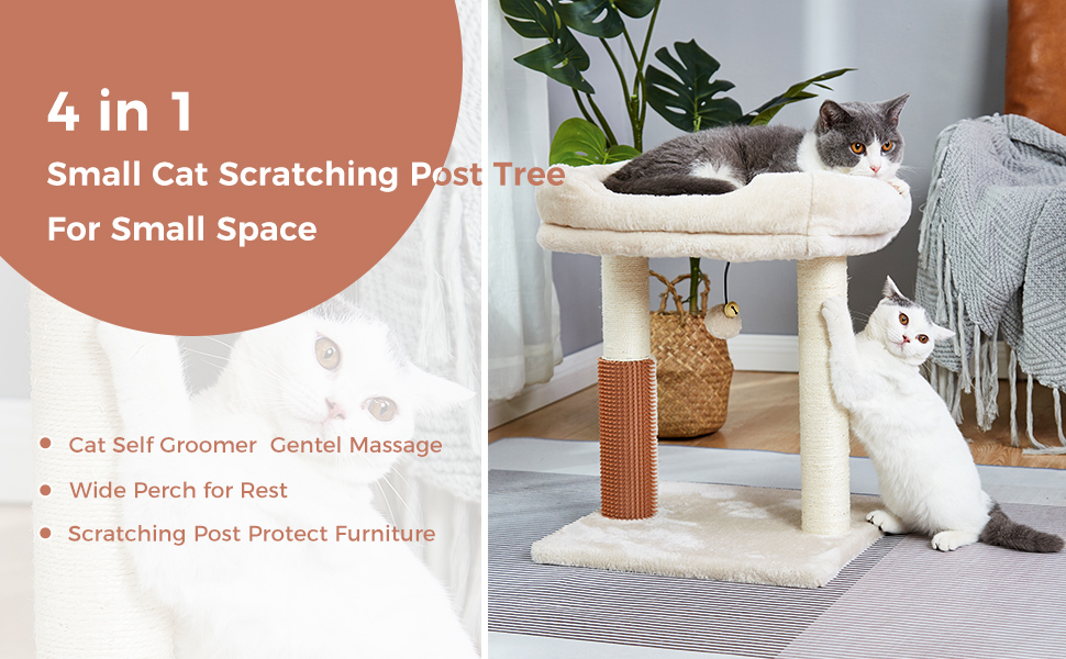 MeowSir Small Cat Tree 4 in 1 Cat Scratching Post with Top Perch Bed