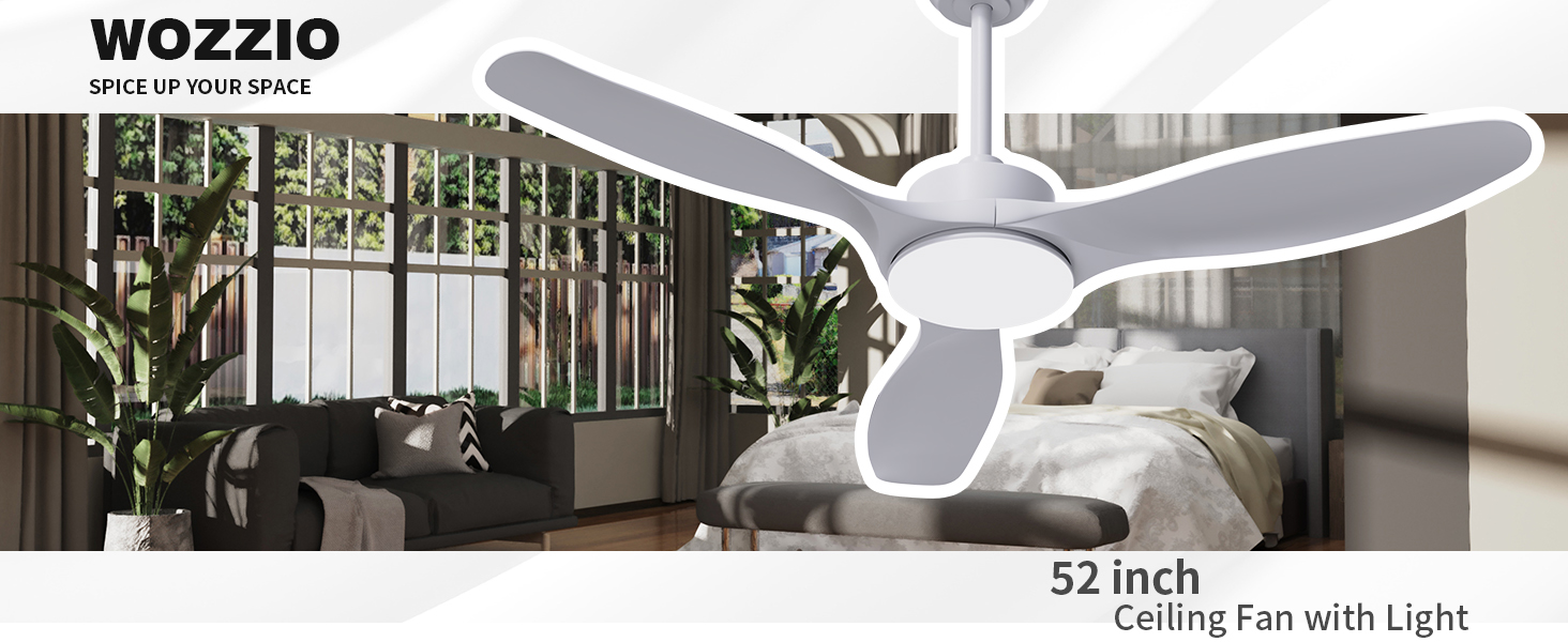 ceiling fan with light