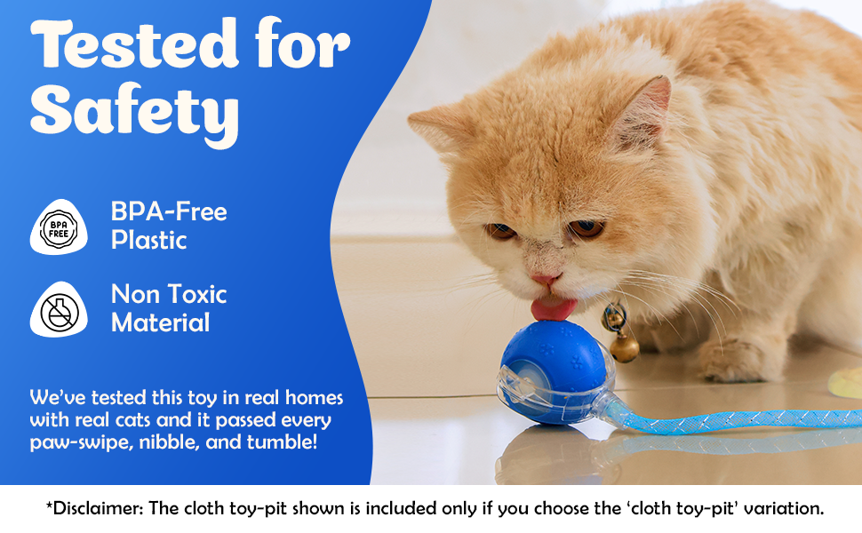 Cat playing with BPA-free toy.