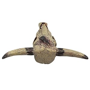 Bearded Dragon Tank Decor