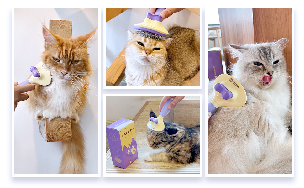 cat brush for long haired cats