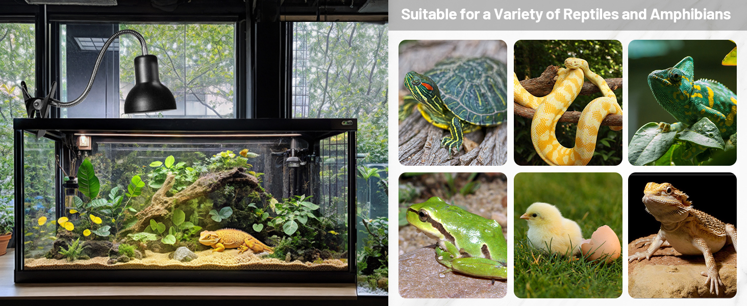 heat lamps for reptiles heat lamp for turtle tank turtle heat lamp bulb