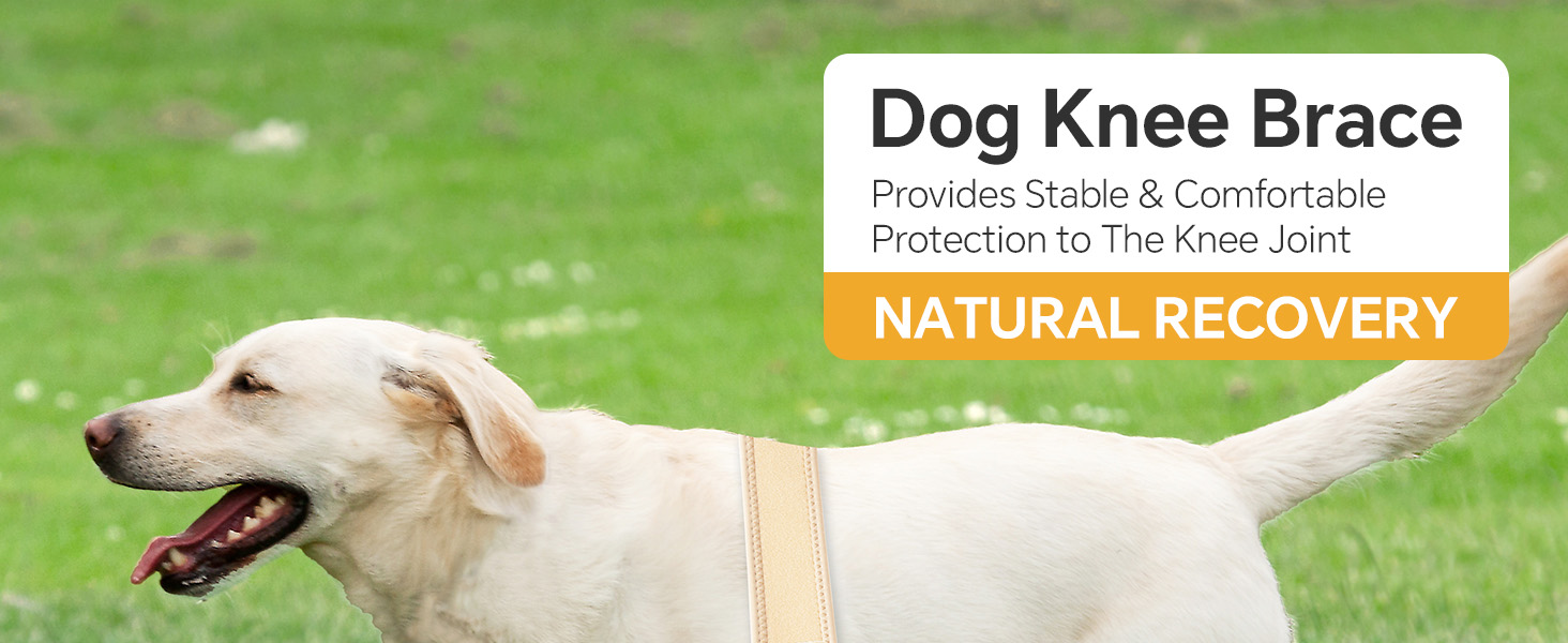 soundfuse Dog Knee Brace, Upgraded Leg Brace for ACL with