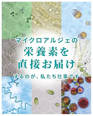 特別価格‼️ マイクロアルジェ　阿拉善【未開封】 マイクロアルジェ•阿拉善➂箱 未開封【特別価格•お一人様限定】