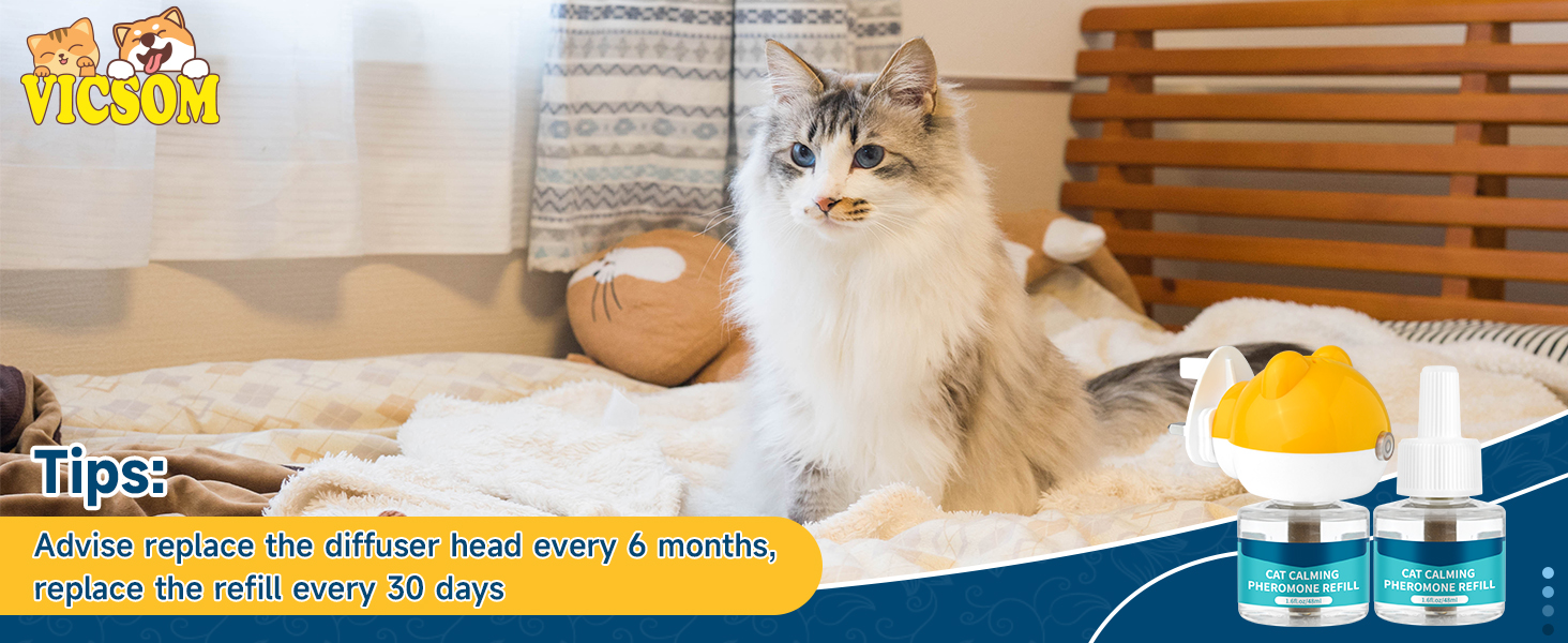 Large manufacture image 6